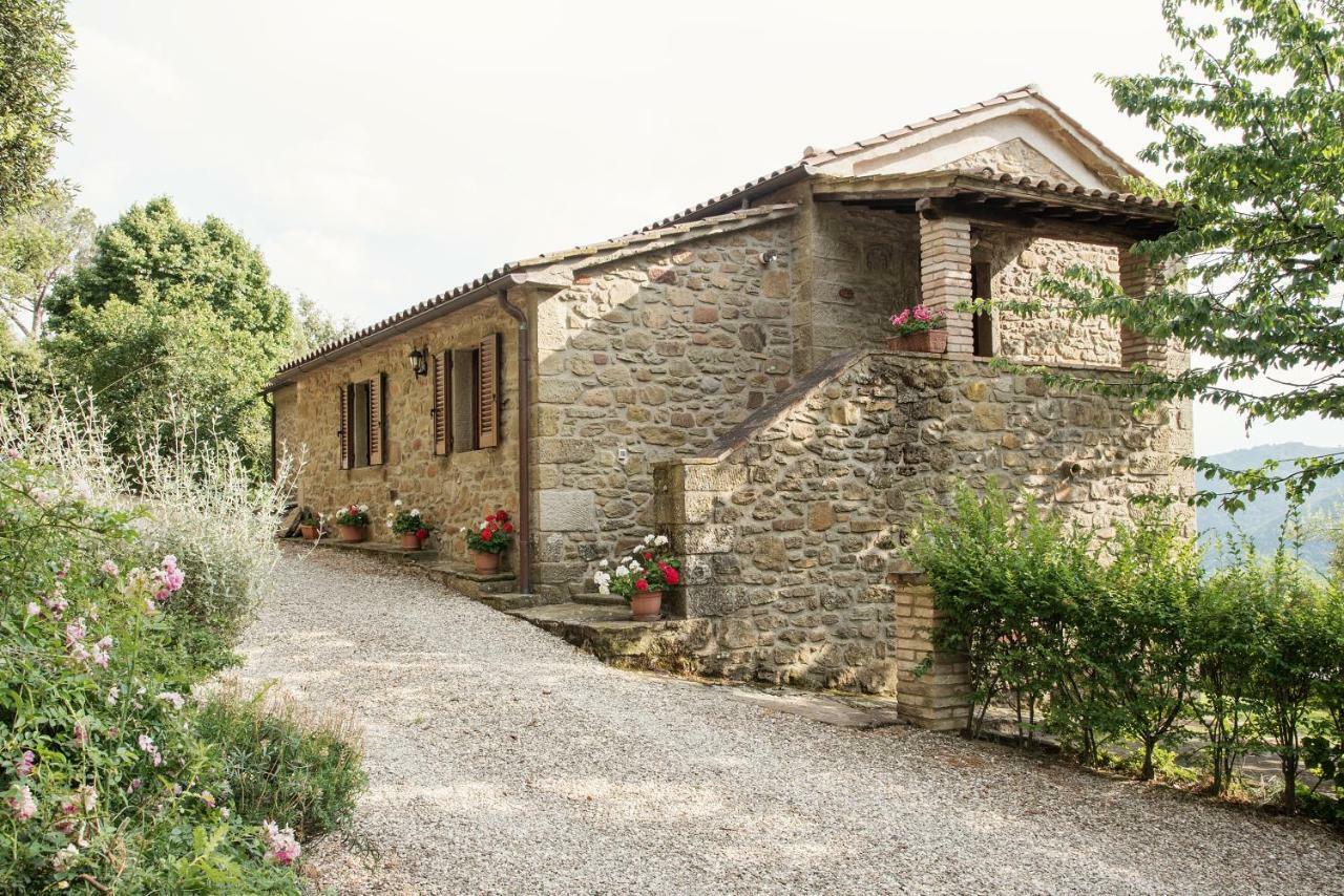 Casa Rancacci Guest House Mercatale  ภายนอก รูปภาพ